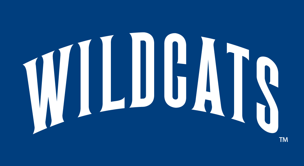 Villanova Wildcats 1996-Pres Wordmark Logo iron on paper